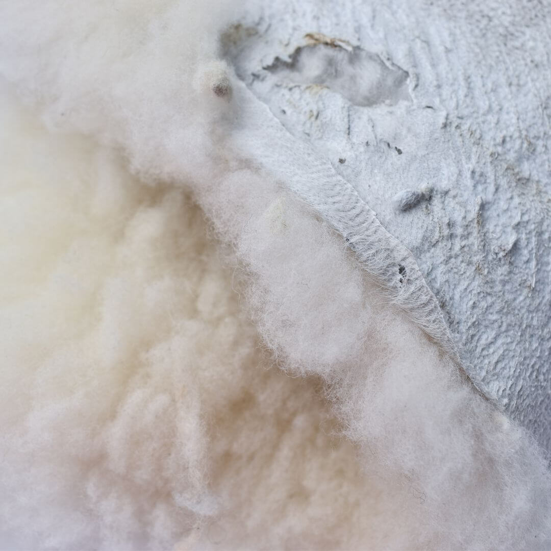 Merino Sheepskin